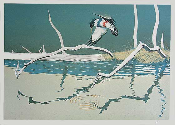 Halcyon Days - Kingfisher - Lithograph by Roy Tomlinson