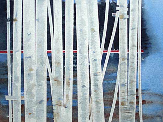 Birch and Red Osier -  Watercolor by Roy Tomlinson
