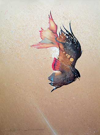 Roy Tomlinson - Predatory Birds